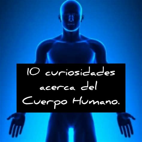 Stream Curiosidades Acerca Del Cuerpo Humano By Flor Zavaleta