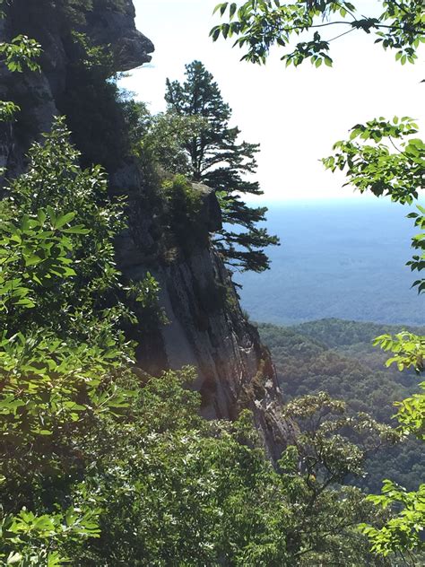 Caesar's Head State Park | Caesars head state park, State parks ...