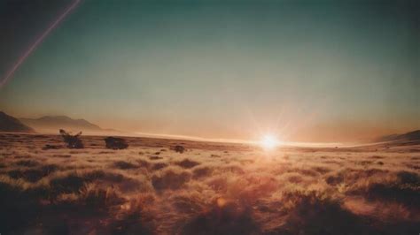 Efeito de vazamento de luz do filme sobreposições de fotografia vintage