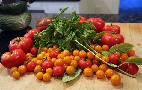 tomato_harvest - Hyannis Country Garden