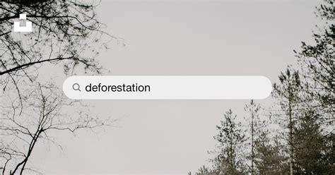 350+ Deforestation Pictures [HD] | Download Free Images on Unsplash