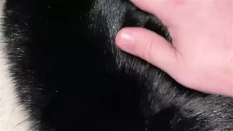 Kolega Lubi Gdy Go Rucham Free Solo Man Porn Ac Xhamster