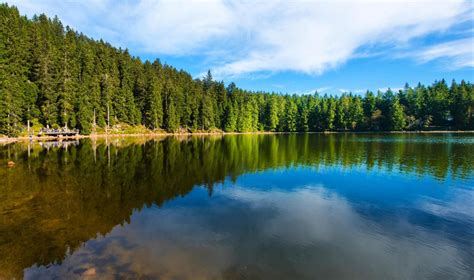 Randonnée forêt noire Traversée de la Forêt Noire Randonnée