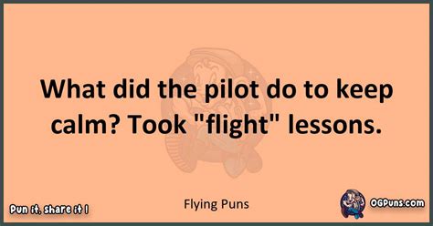 240 Airborne Chuckles Flying High On Puns