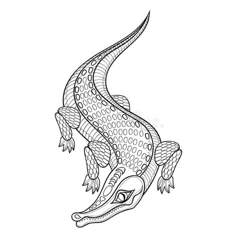 Hand Drawn Zentangled Crocodile For Adult Coloring Pages Stock Vector