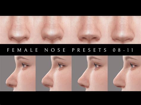 Female Nose Presets 08 11