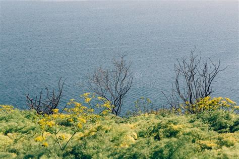 Lake Sevan, Armenia stock image. Image of holy, european - 100478579