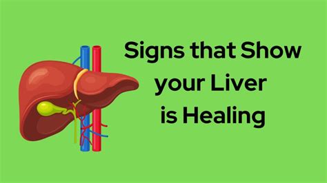 Signs That Show Your Liver Is Healing Jindal Hospital Sirsa