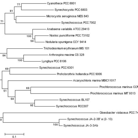 Sampling location of Prochlorothrix strains and Prochlorothrix-type... | Download Scientific Diagram