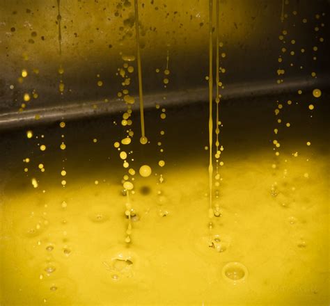 Olive Oil Extraction Process — The Olive Oil Source