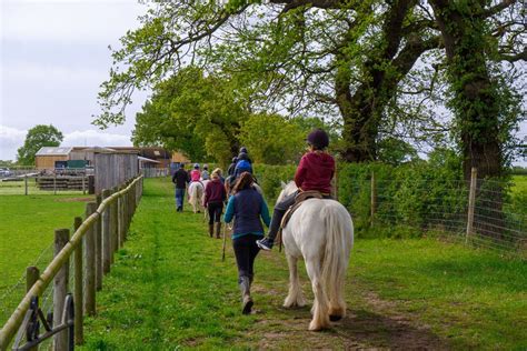 Freedom Equine Centre