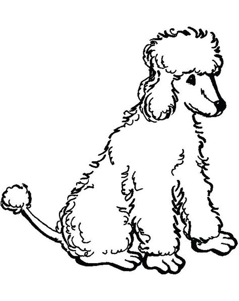 Toy Poodle Coloring Pages At Free Printable