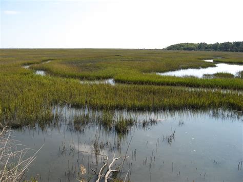 Salt Marsh Eastern Shore National Wildlife Refuge Salt Ma Flickr