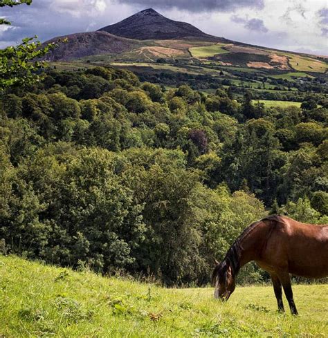 Wicklow Mountains National Park | Glenview Hotel Wicklow