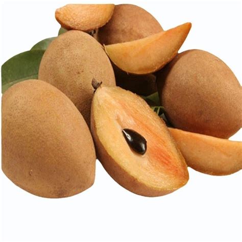 A Grade Fresh Chikoo Fruit Packaging Type Wooden Box Packaging Size