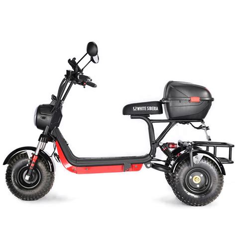 Электротрицикл WHITE SIBERIA TRIKE MINI купить в Туле | 81900