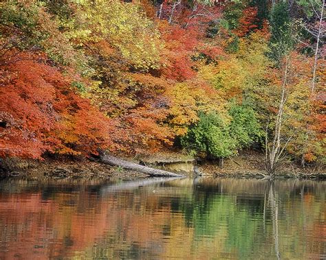 Lake Wylie In Autumn With Colored Leaves In South Carolina Image Free