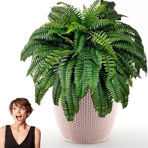 Amazon Refipol Resistant Lifelike Artificial Boston Fern