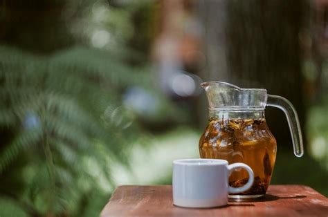 Le Tisane Fredde Da Gustare In Estate Per Stare Bene E Rinfrescarsi