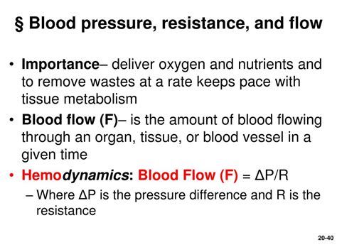 Ppt Chapter 20 Blood Vessels And Circulation Powerpoint Presentation