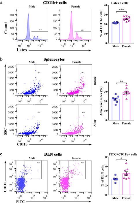 Sex Differences In The Phagocytic Adherence And Migratory Capacity Of