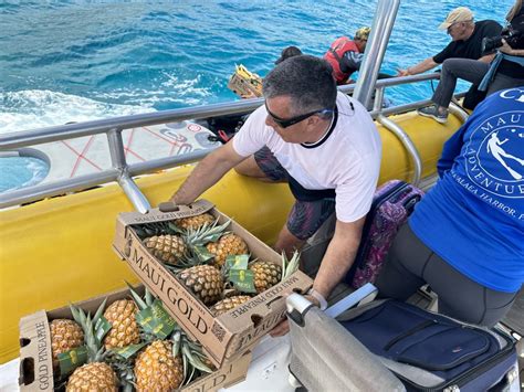 Maui Gold Pineapple Launches Relief Initiative To Help Feed Families