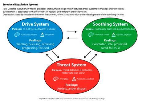 Your Brains 3 Emotion Regulation Systems Learn To Soothe To Youreslf