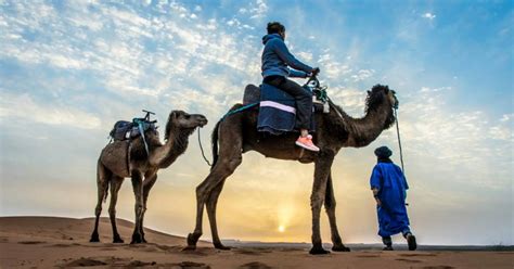 From Marrakech 2 Day Desert Tour To Zagora With Camel Trek Getyourguide