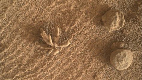 Ungew Hnliche Entdeckung Foto Von Mars Rover Zeigt Besondere Formation