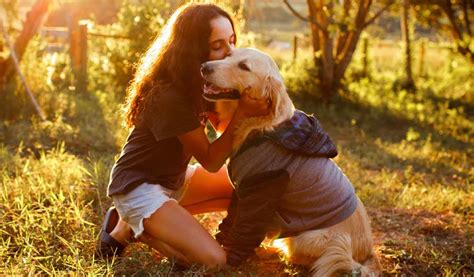 Golden Retriever Men The New Heartthrobs Of Generation Z Newsofx