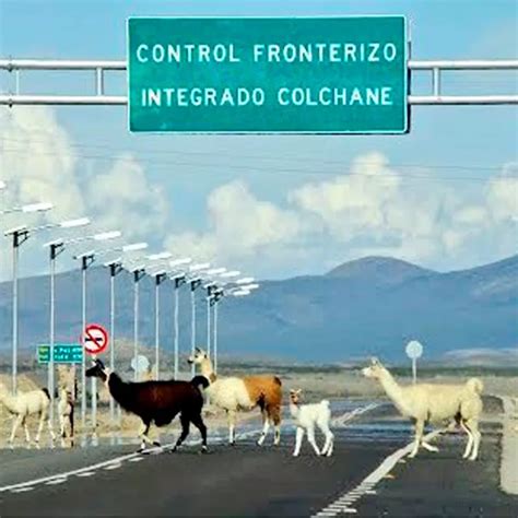 Gobierno anuncia millonaria inversión para mejorar la seguridad del