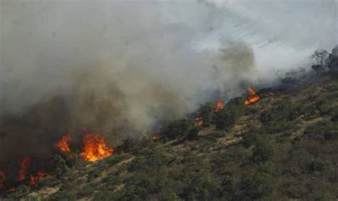 Se Declara Alerta Roja Para La Comuna De Galvarino Por Incendio