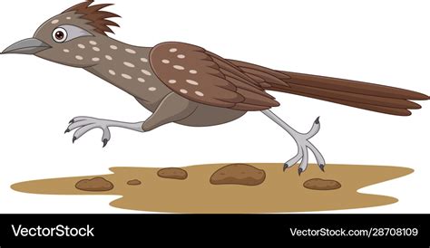 Cartoon roadrunner bird running on road Royalty Free Vector