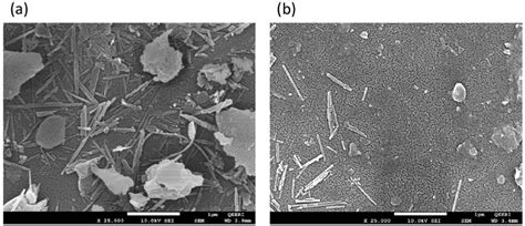 Typical Sem Micrographs Of The A Bare Glass And B Treated Samples