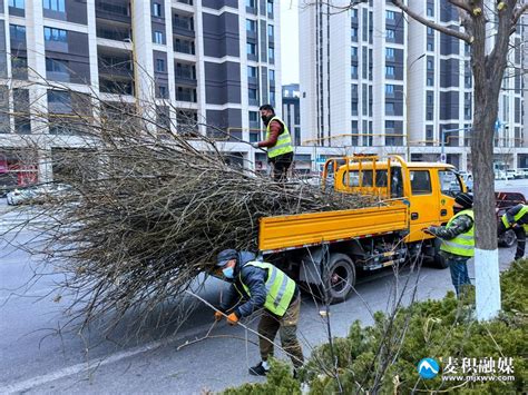 麦积区住建局园林建设服务中心：加强冬季绿化养护 助力文明城市创建图 天水在线