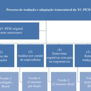 Resumo Metodol Gico Do Processo De Tradu O E Adapta O Transcultural