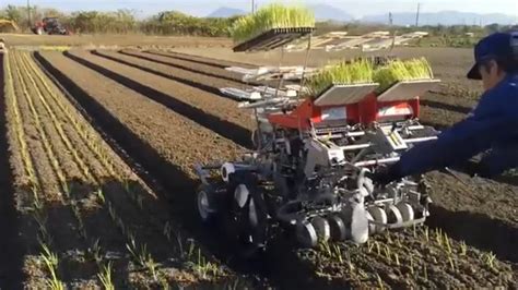 Onion Planter Machine Available At Solapur Maharashtra YouTube