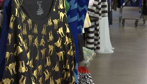Maximize Your Savings: Expert Shopping Tips for Finding Hidden Gems at Goodwill - Hunter Games Magazine