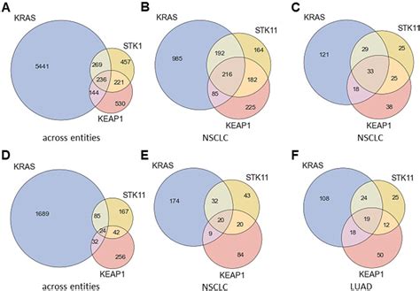 Comparative bioinformatic analysis of KRAS, STK11 and KEAP1 (co ...