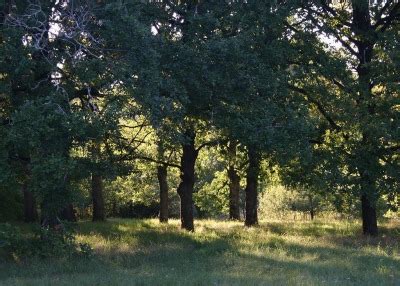 Mr Ass Eater On Tumblr