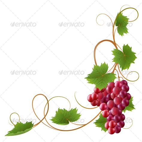 grape vine border clip art    image