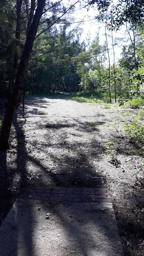 Hole 1 • West Delray Regional Park (Delray Beach, FL) | Disc Golf