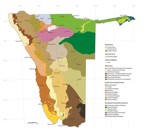 Types of vegetation | Atlas of Namibia