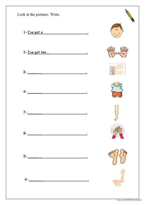 Body Parts Have Got English Esl Worksheets Pdf And Doc