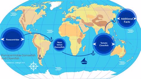 Where Do Clownfish Live Map - Unique Fish Photo