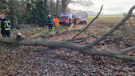 Mann wird unter Baum eingeklemmt in Eggermühlen NOZ