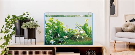 Amazon Pondon Gallon Fish Tank Low Iron Rimless Glass