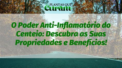 O Poder Anti Inflamat Rio Do Centeio Descubra As Suas Propriedades E