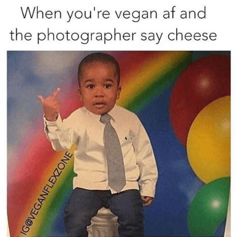 17 Of The Best Vegan Memes From 2017