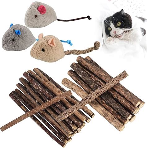 Newoutset Pcs Cat Catnip Sticks Cat Catnip Chew Toys Natural